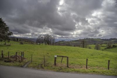 Прикрепленное изображение: IMG_5850_1_2_Optimizer_w.jpg